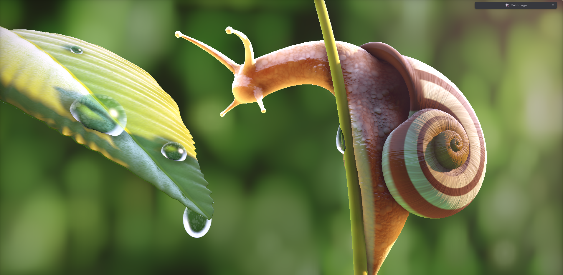 蜗牛